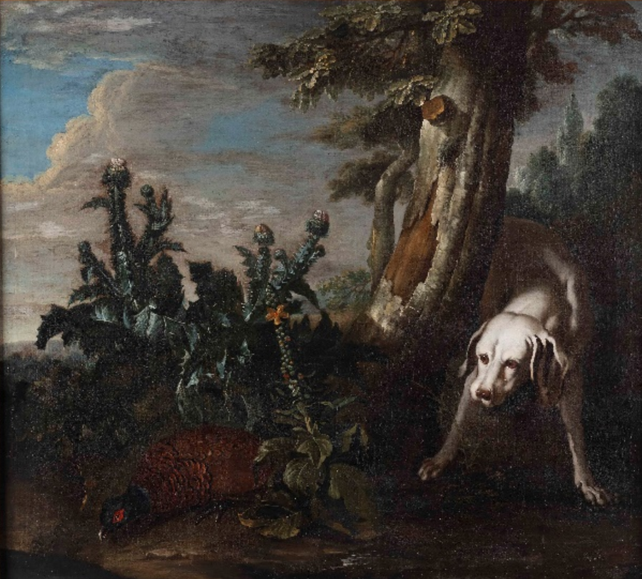 Chien avec faisan - Alexandre-François Desportes