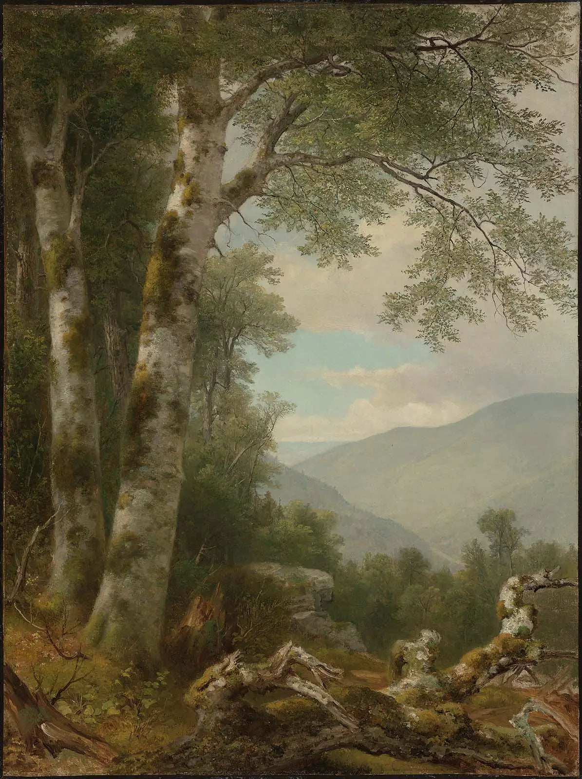 Paysage avec des bouleaux - Asher Brown Durand image 1 reproduction artisanale de tableau