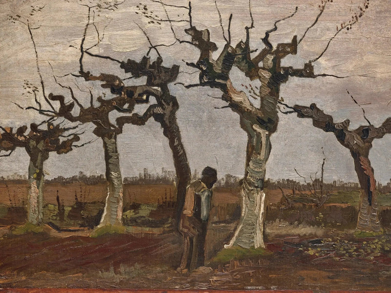 Paysage avec des saules têtards - Vincent van Gogh