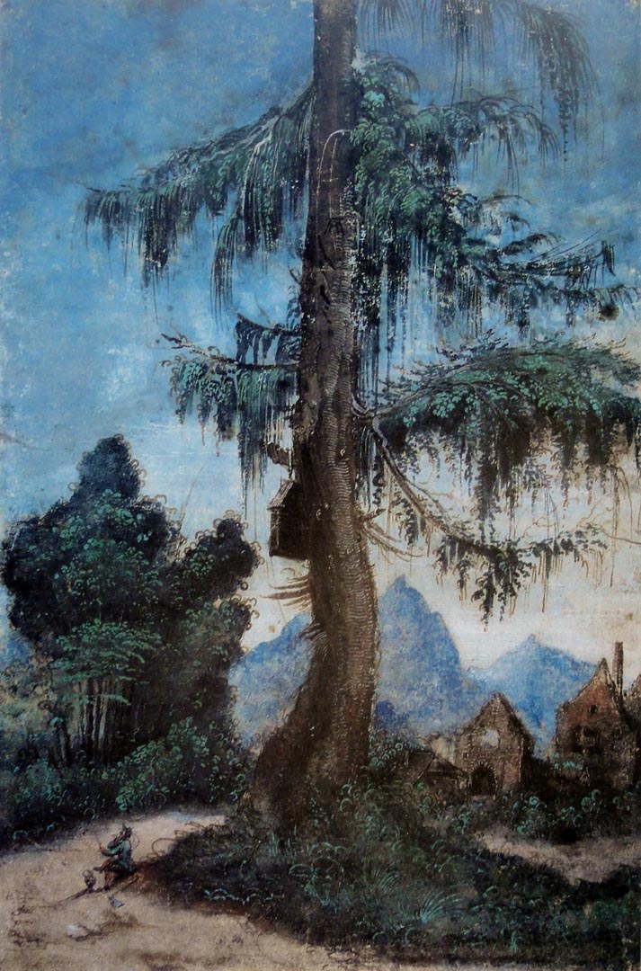 Paysage avec épicéa - Albrecht Altdorfer image 1 reproduction d’œuvre d’art à l’huile