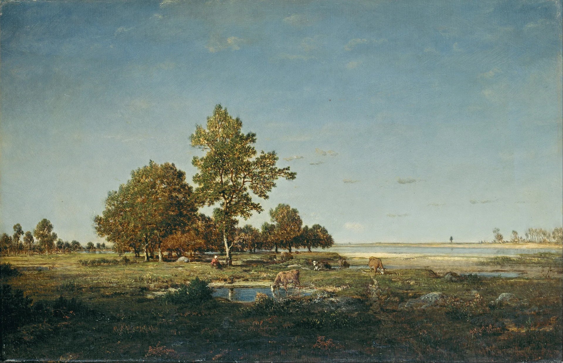 Paysage avec un bosquet d'arbres - Théodore Rousseau image 1 reproduction de peinture à l’huile