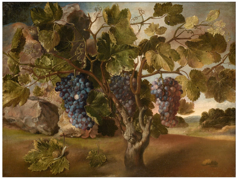 Paysage avec une vigne - Tomás Yepes