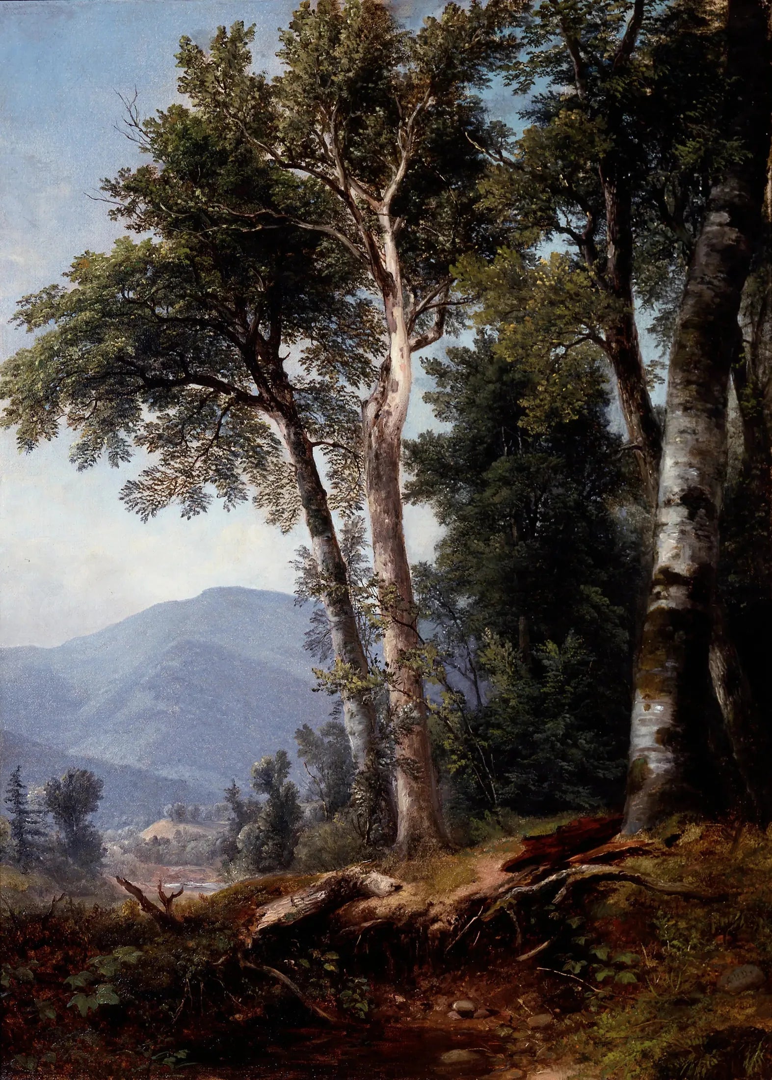 Paysage boisé - Asher Brown Durand image 1 tableau peint à l’huile sur toile