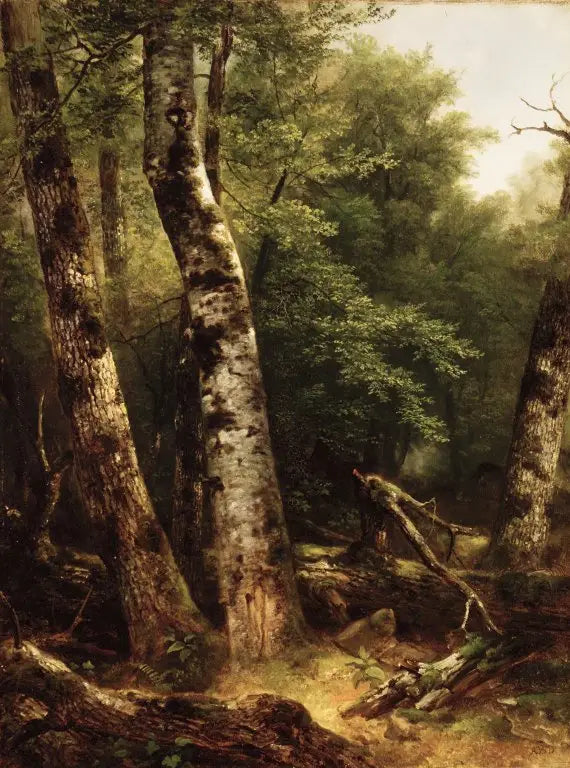 Paysage (bouleaux et chênes) - Asher Brown Durand image 1 reproduction de peinture à l’huile