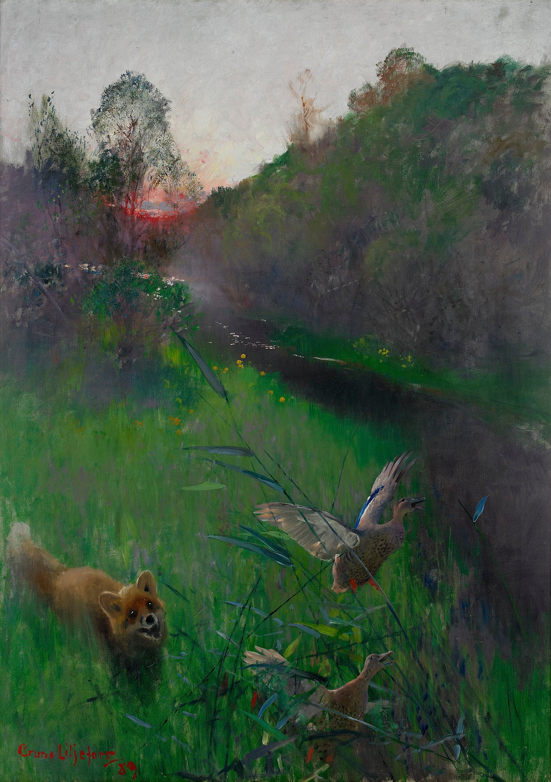 Paysage d'après-midi avec renard et oiseaux marins - Bruno Liljefors image 1 reproduction artisanale de tableau