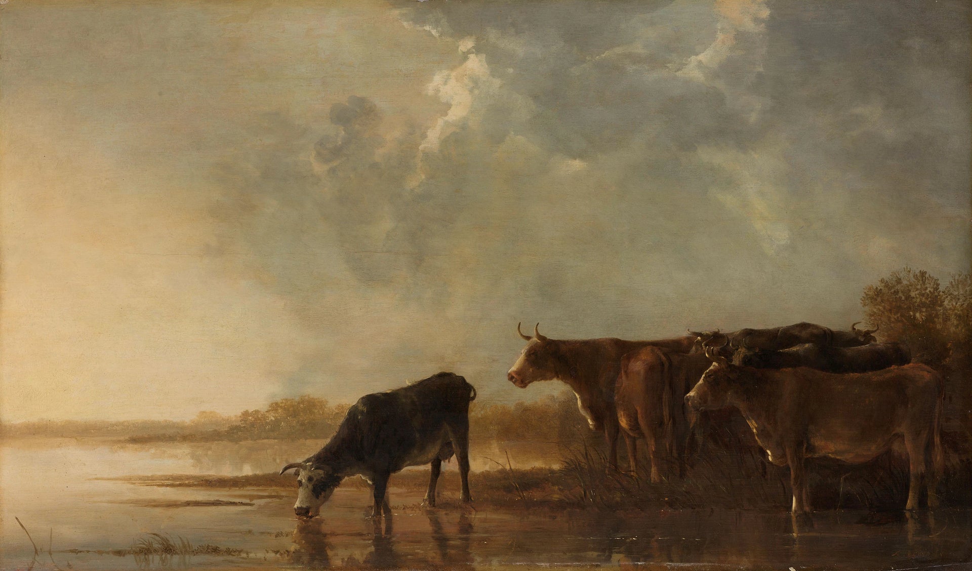 Paysage fluvial avec des vaches - Albert Cuyp