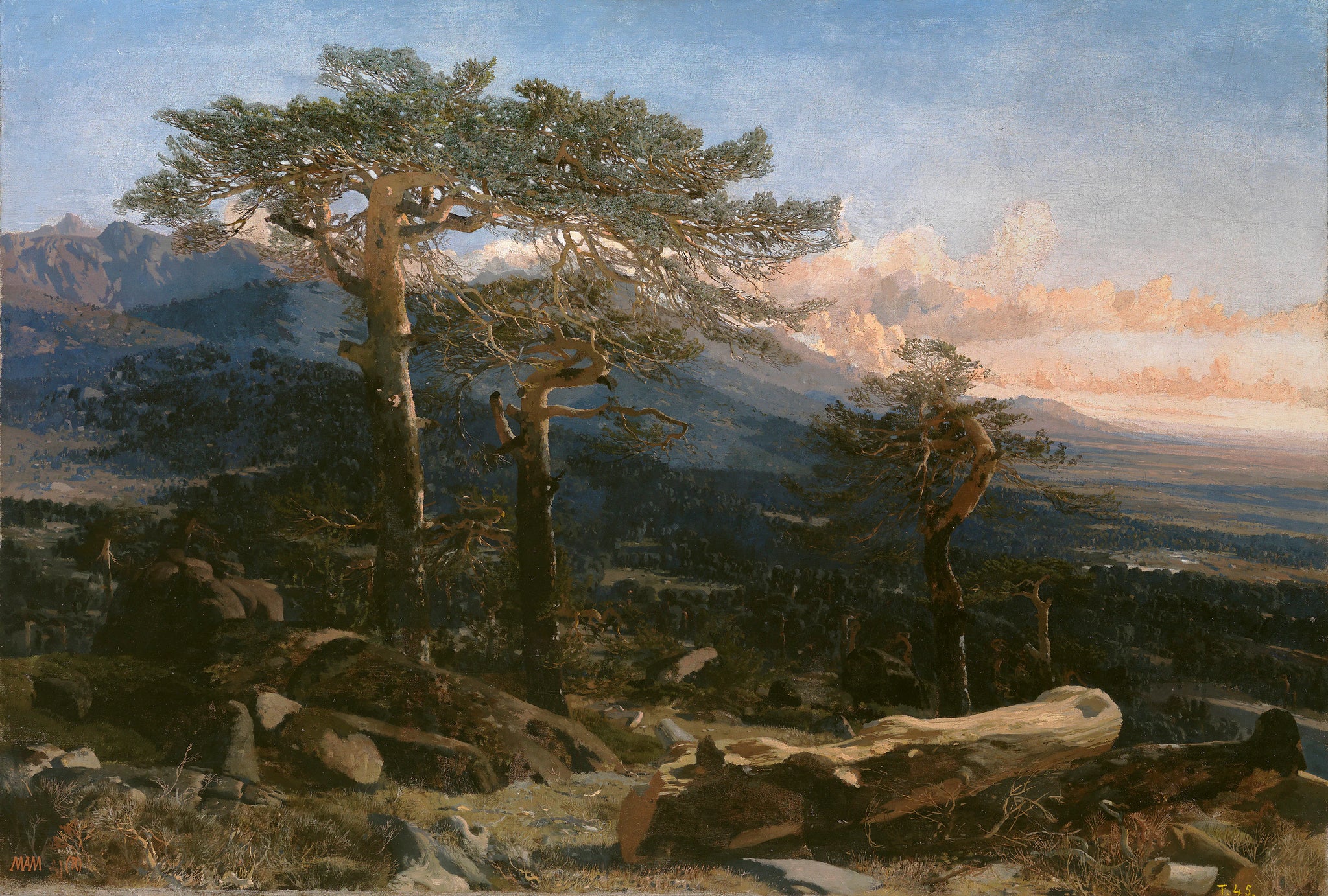 Un paysage de Guadarrama - Martín Rico