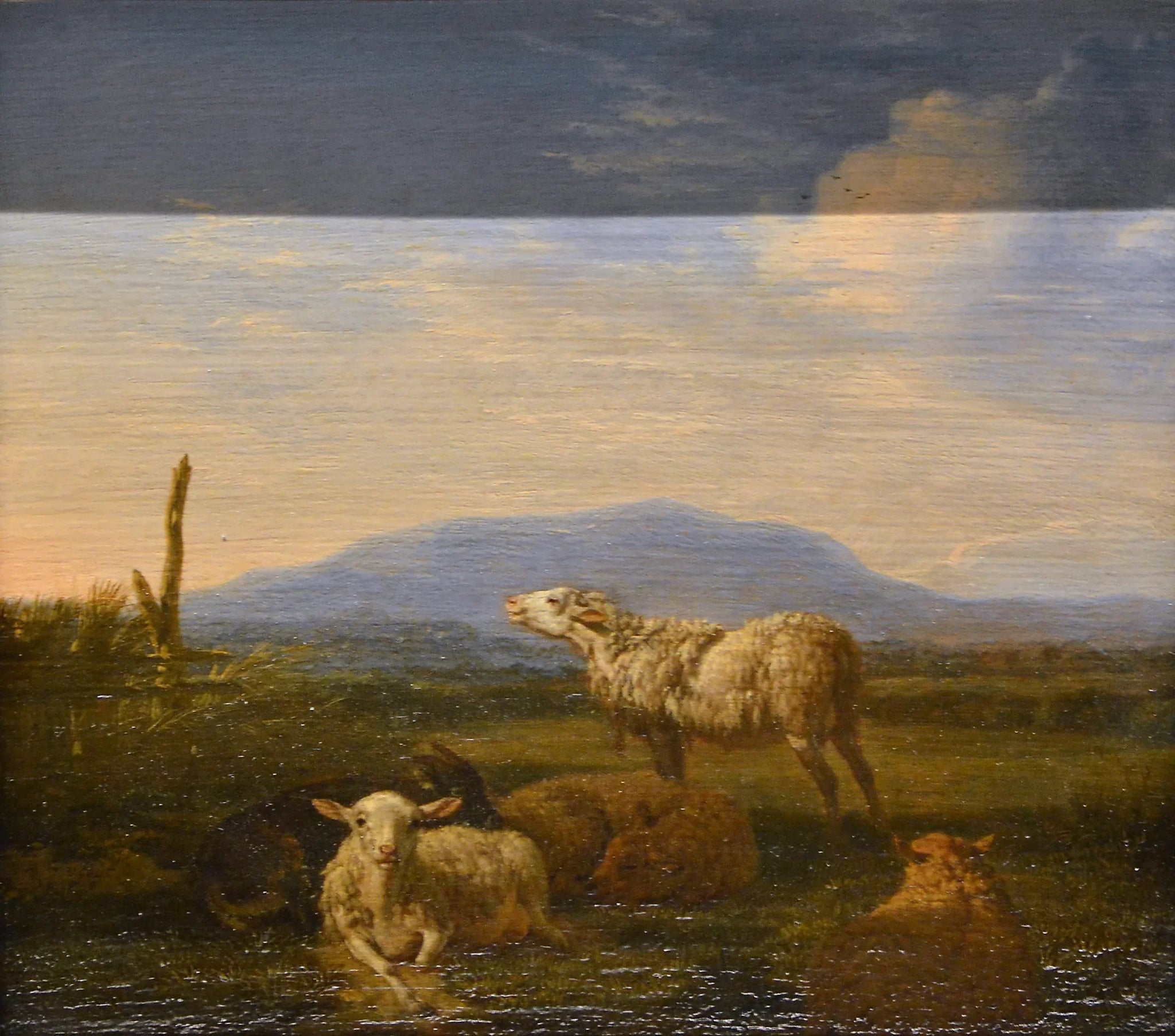 Paysage : moutons et chèvres - Adriaen van de Velde image 1 reproduction artisanale de tableau