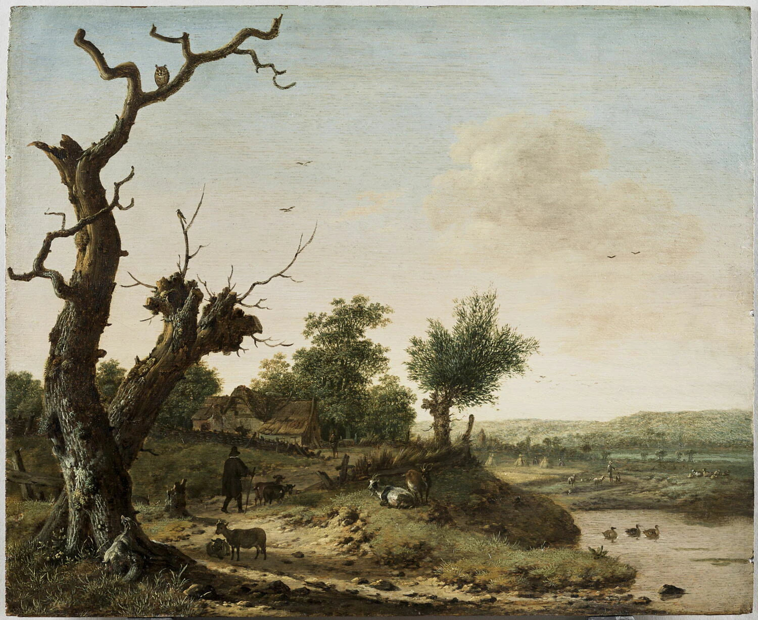 Paysage rustique. Arbres morts, chemin et mare - Dirck Wijntrack