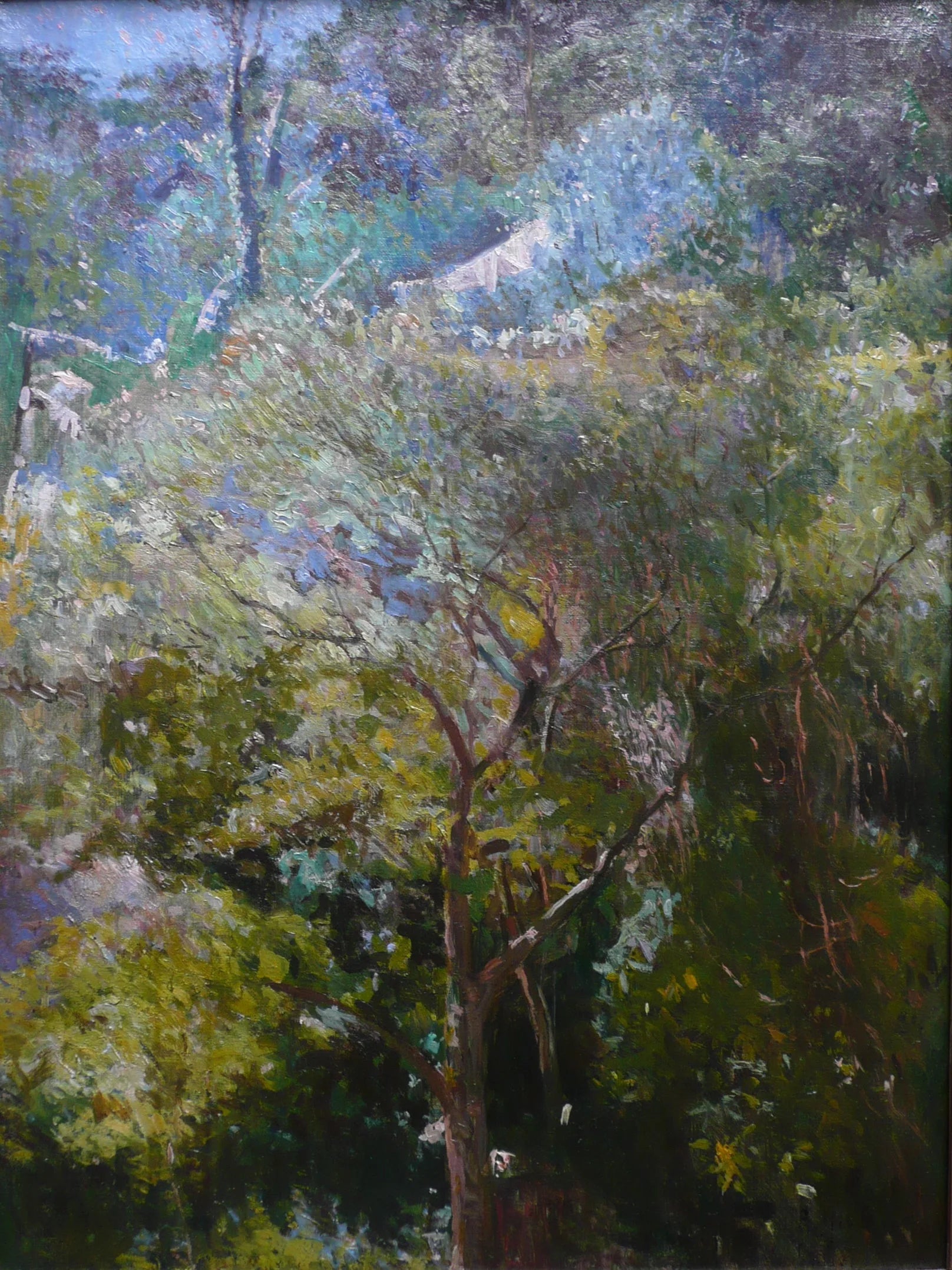 Paysage tropical - Eliseu Visconti image 1 copie peinte à la main à l’huile
