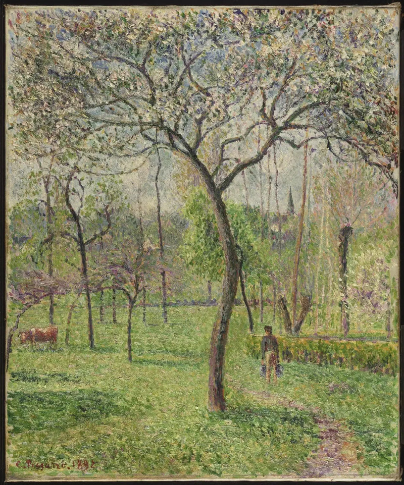 Paysage (Verger) - Camille Pissarro