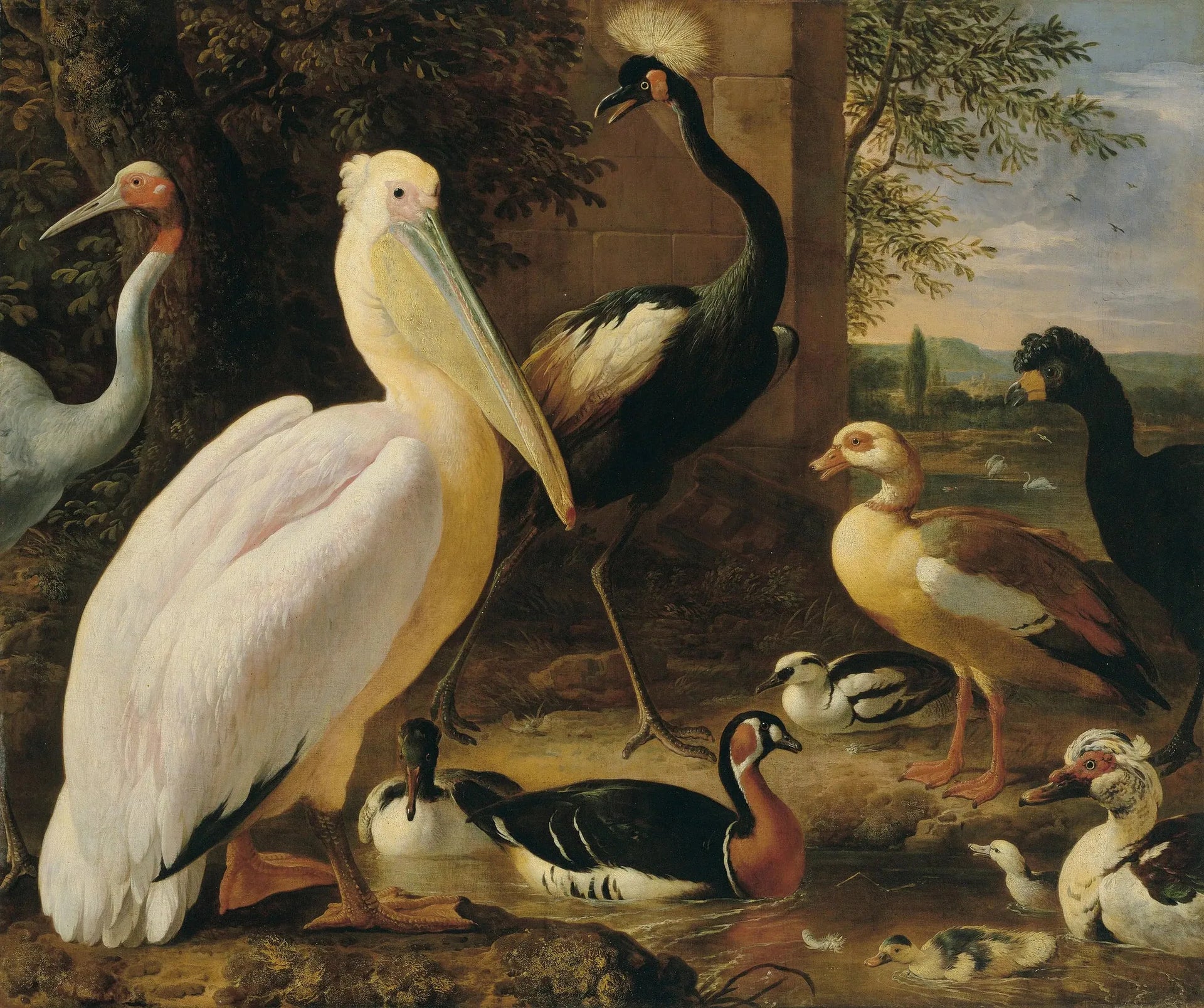 Pélican, grue couronnée, hocco, grue antigone et canards dans un paysage fluvial - Melchior de Hondecoeter image 1 copie peinte à la main à l’huile