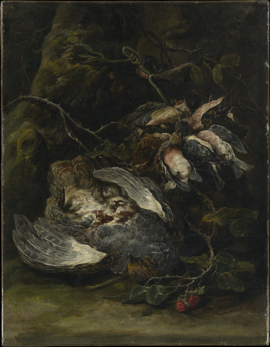 Une perdrix et petits gibiers à plumes - Jan Fyt