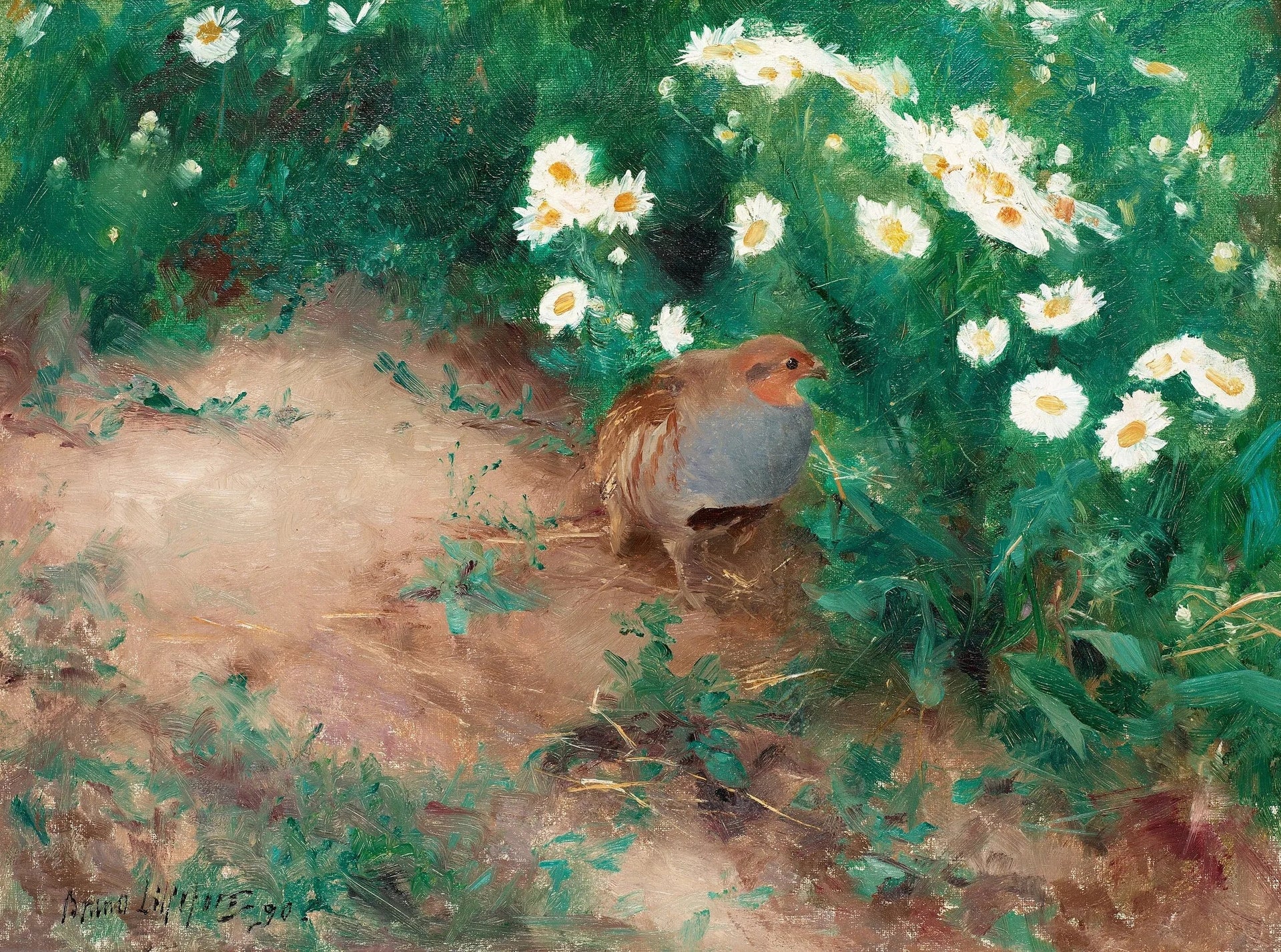 Perdrix grise avec des marguerites des champs - Bruno Liljefors image 1 copie peinte à la main à l’huile