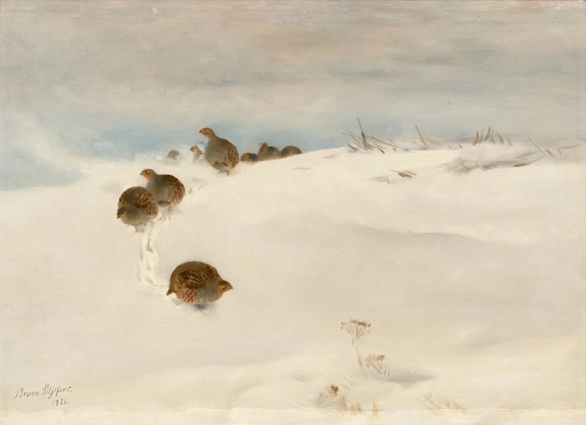 Perdrix grises dans un paysage hivernal - Bruno Liljefors image 1 reproduction artisanale de tableau