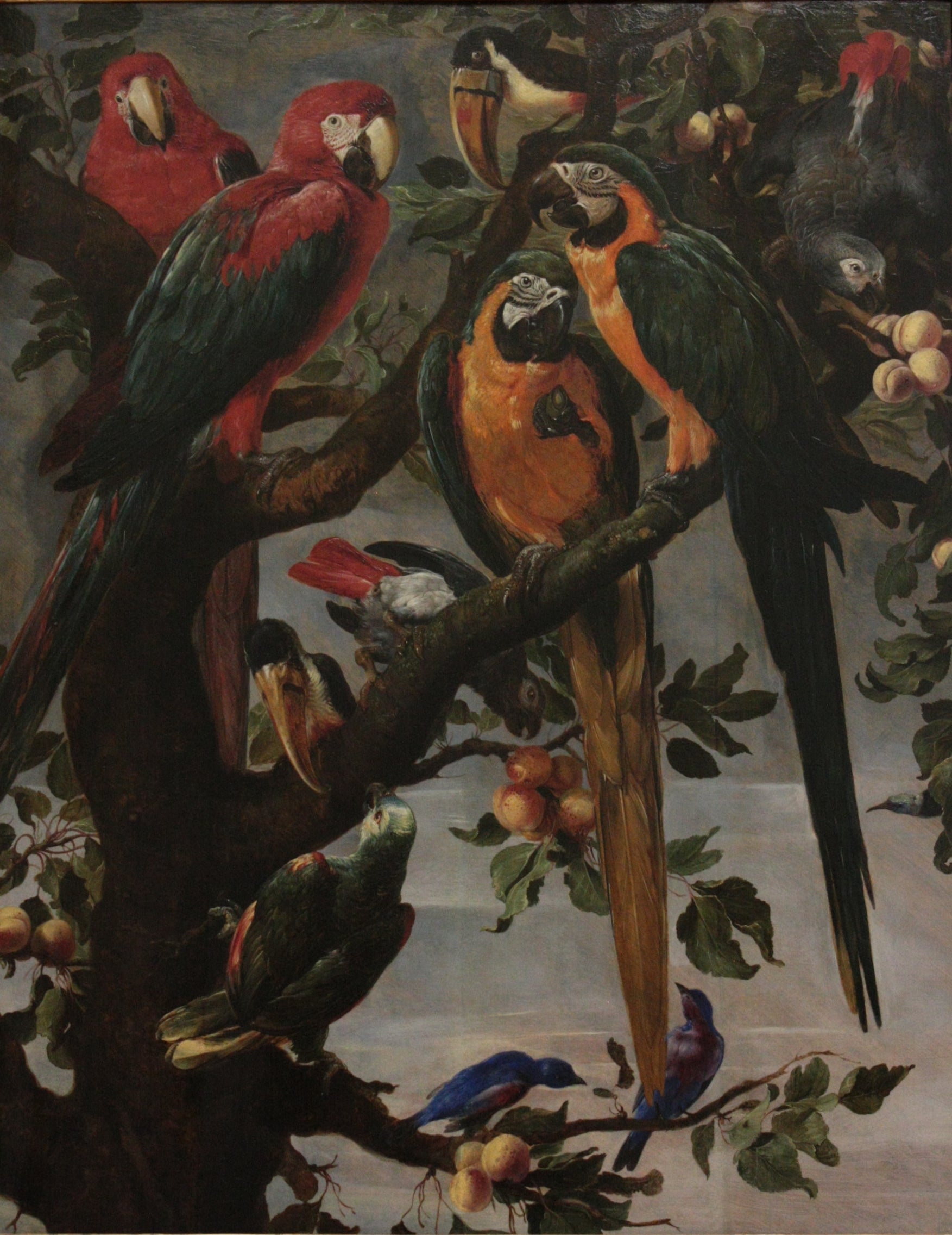 Perroquets et autres oiseaux - Frans Snyders image 1 reproduction réalisée par Alpha Reproduction