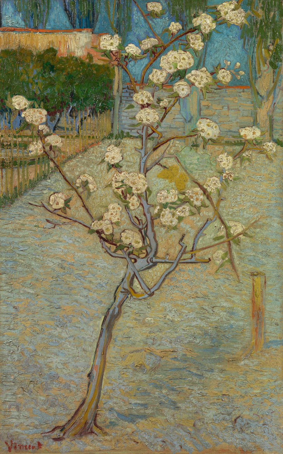 Маленька груша в цвіту - Vincent van Gogh