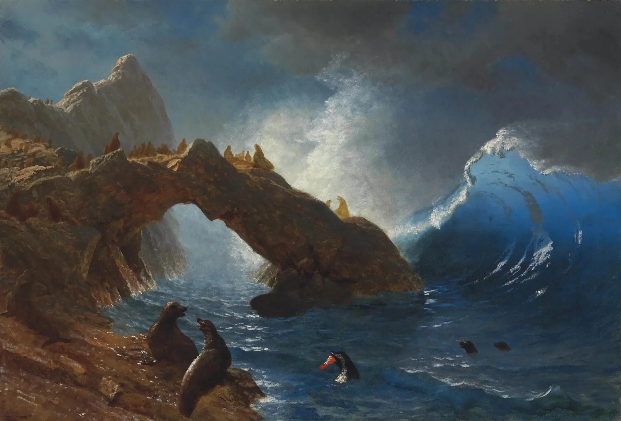 Phoques sur les rochers - Albert Bierstadt image 1 tableau peint à l’huile sur toile