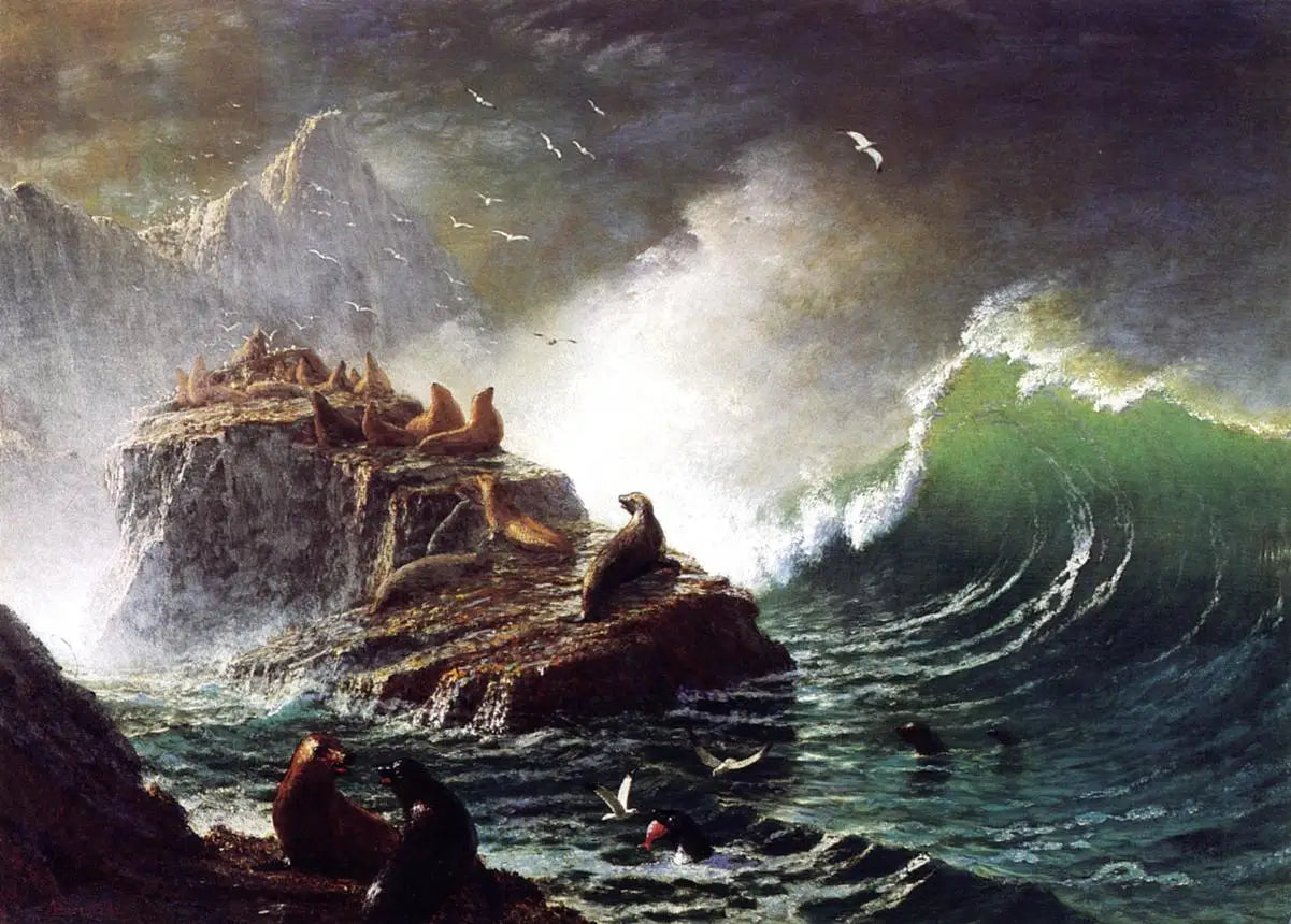 Phoques sur les rochers, îles Farallon - Albert Bierstadt image 1 copie peinte à la main à l’huile