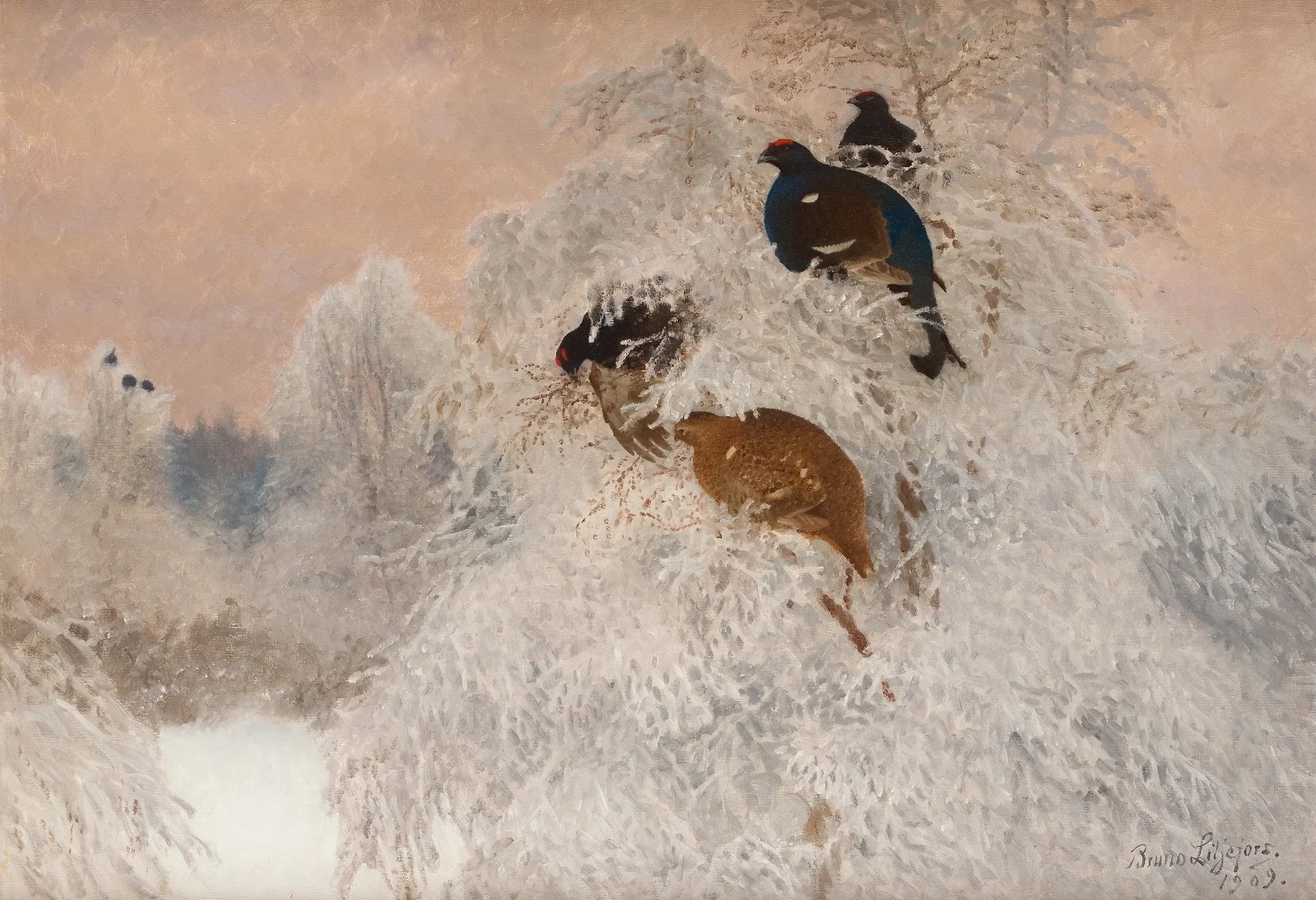 Photo d'hiver avec des tétras lyres - Bruno Liljefors image 1 copie de tableau peinte à la main
