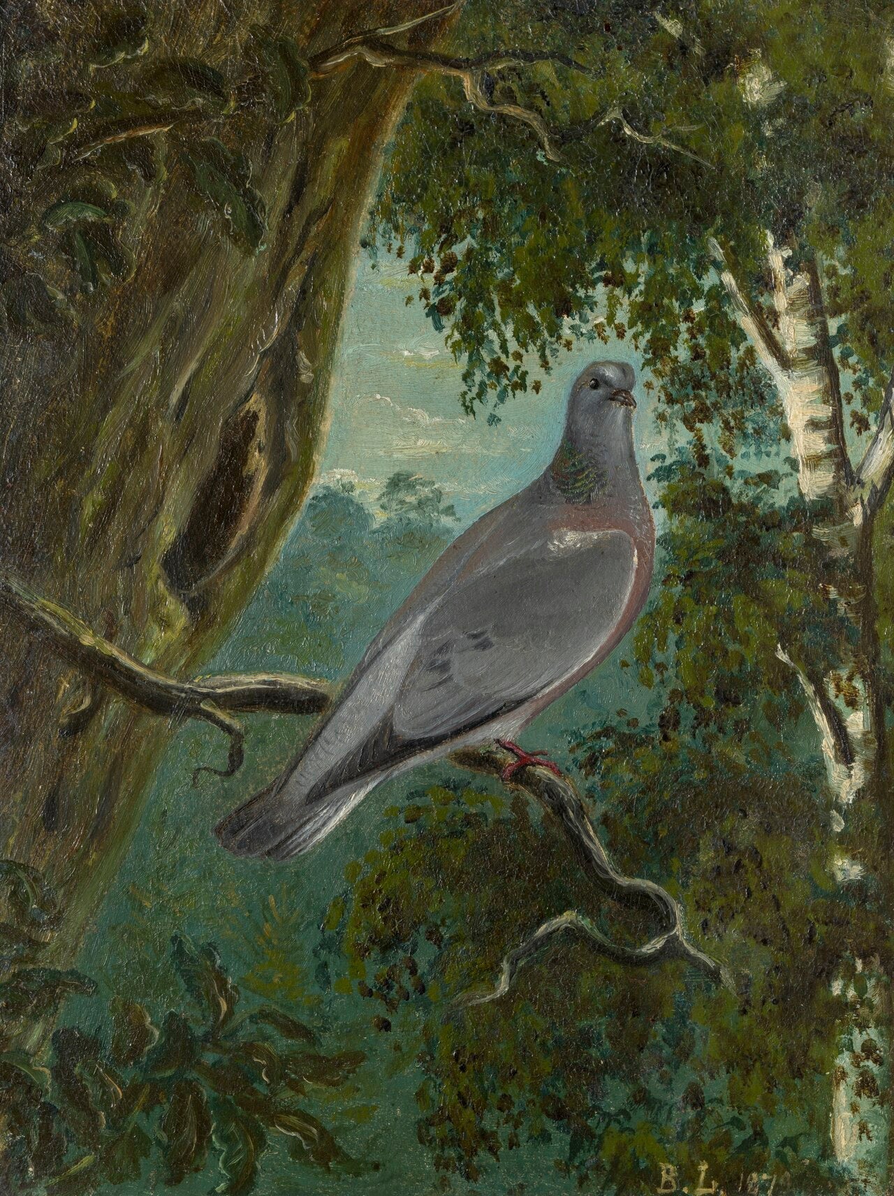 Pigeon colombe - Bruno Liljefors image 1 copie de tableau peinte à la main