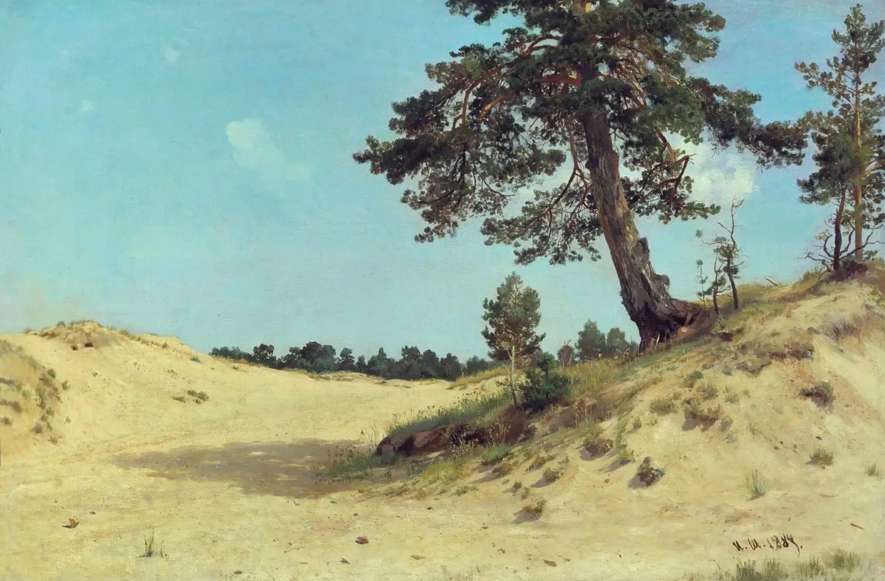 Pin dans le sable - Ivan Chichkine image 1 reproduction artisanale de tableau