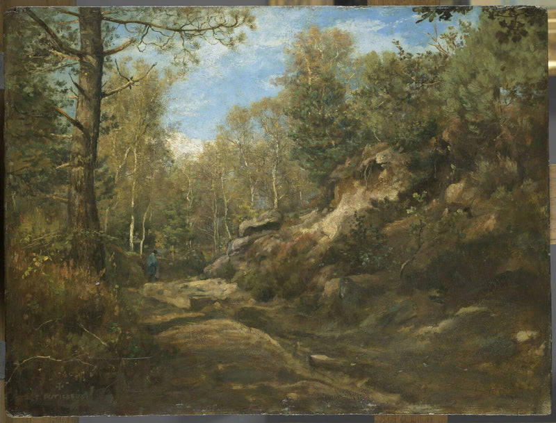Pins et bouleaux, forêt de Fontainebleau - Constant Dutilleux