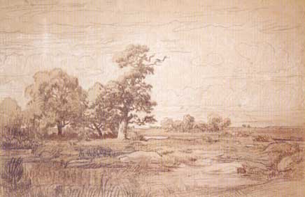 Plaine avec mare et arbres - Théodore Rousseau image 1 reproduction réalisée par Alpha Reproduction