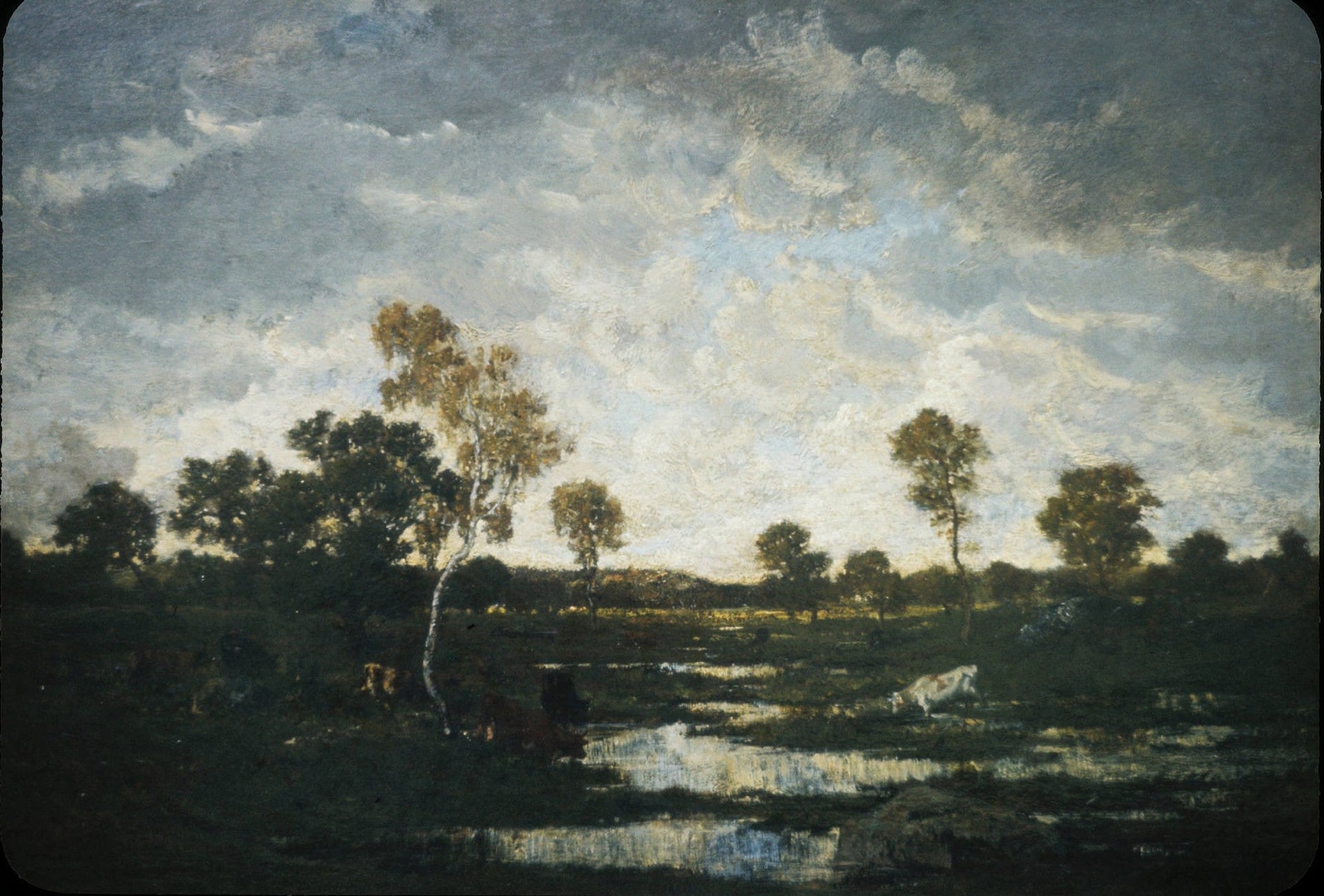 Plaine de Chailly - Théodore Rousseau image 1 copie peinte à la main à l’huile