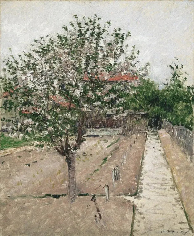 Pommier en fleurs - Gustave Caillebotte