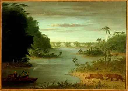 Pont de Palmiers et Tir au Tigre - George Catlin image 1 copie peinte à la main à l’huile