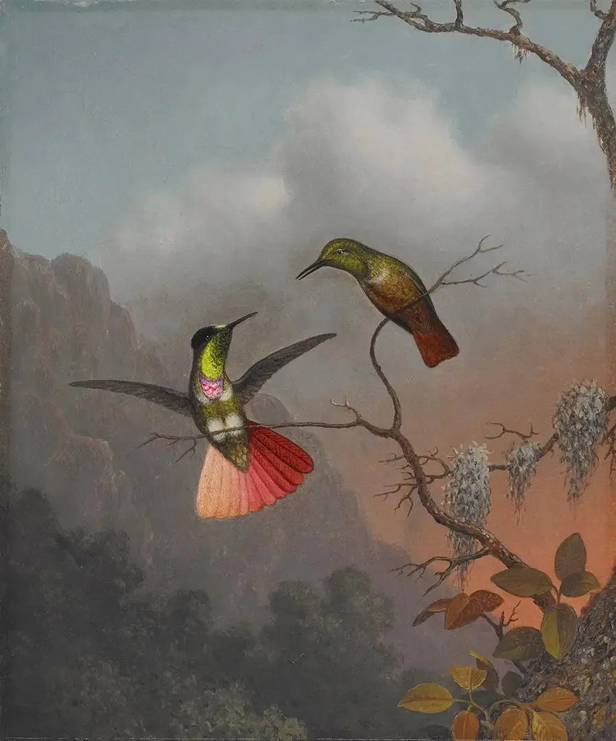 Porteur de visière à capuche - Martin Johnson Heade image 1 reproduction réalisée par Alpha Reproduction