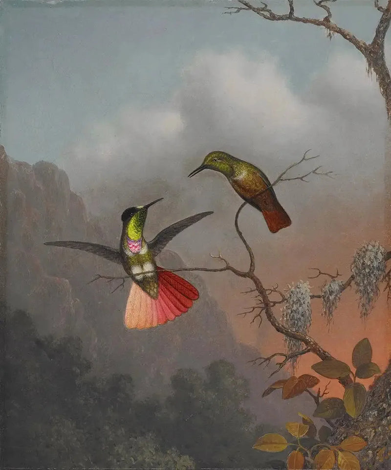 Porteur de visière à capuche - Martin Johnson Heade