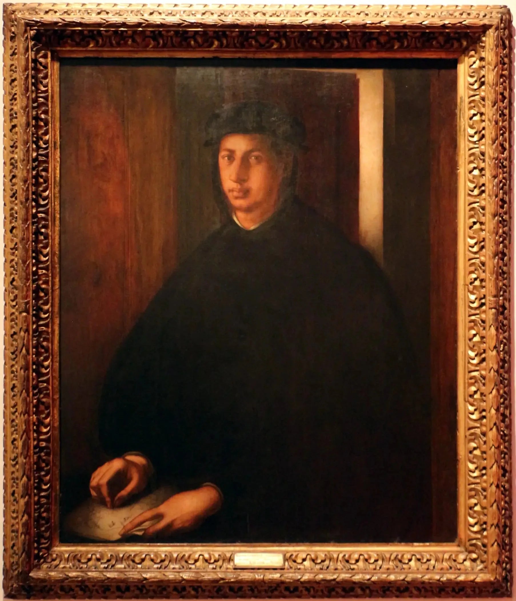 Portrait d'Alexandre de Médicis - Pontormo image 1 reproduction de peinture à l’huile