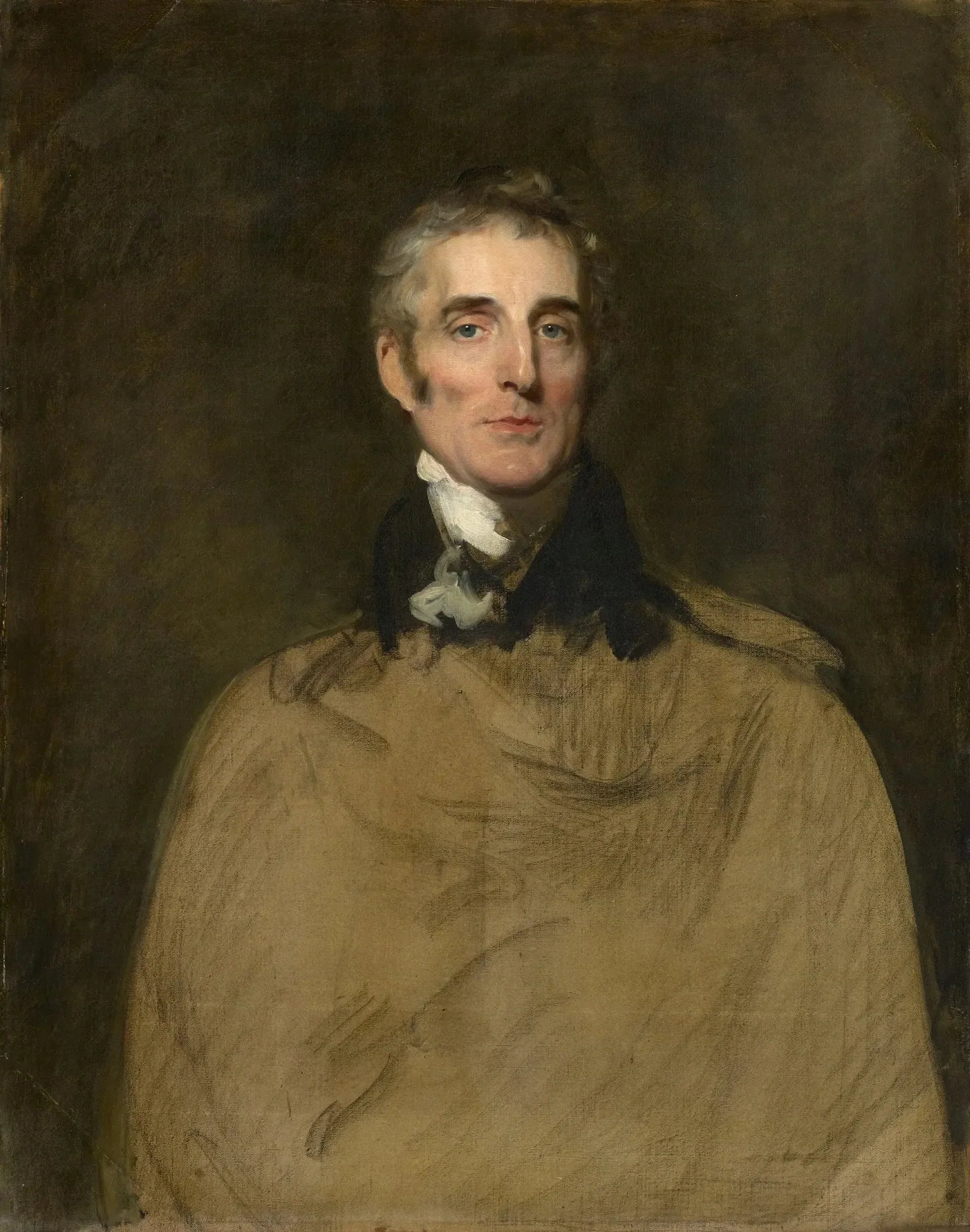 Portrait d'Arthur Wellesley, duc de Wellington - Thomas Lawrence image 1 reproduction d’œuvre d’art à l’huile