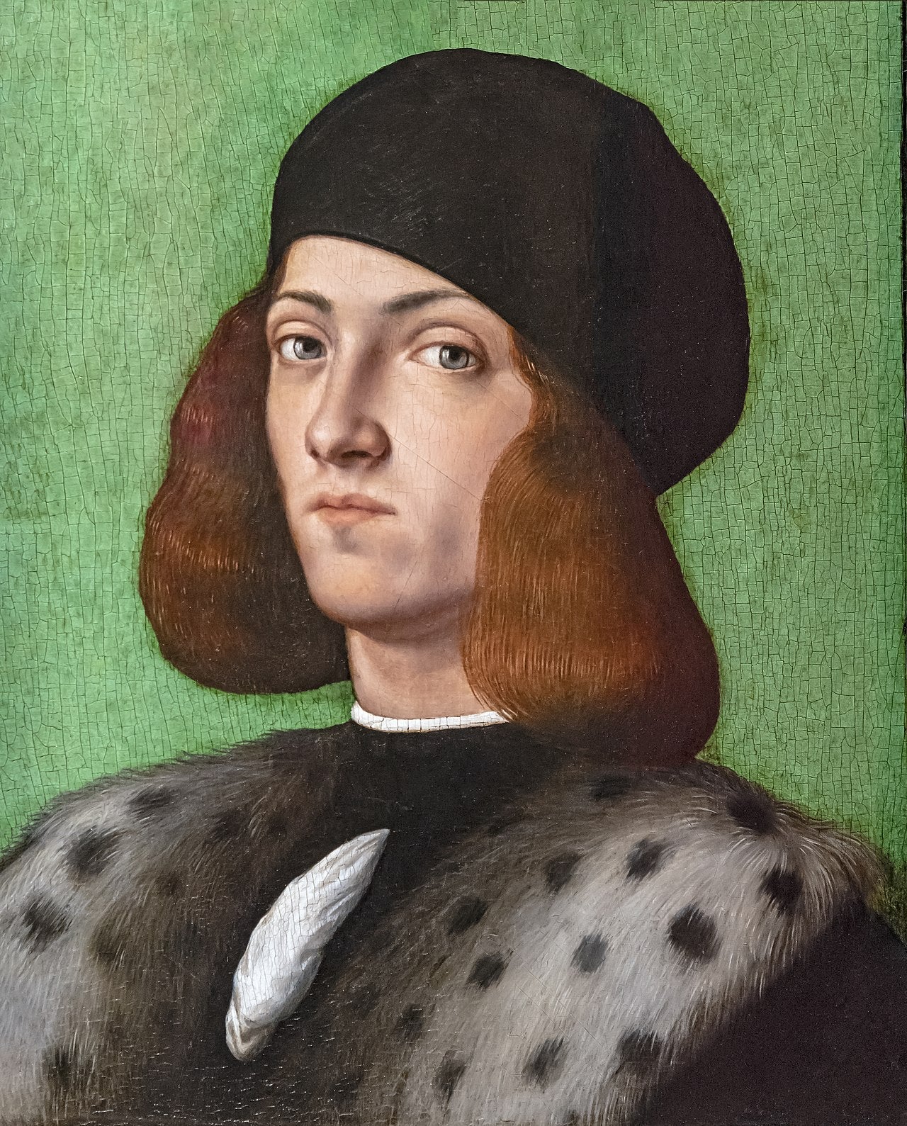 Portrait d'un jeune homme au bonnet noir - Andrea Previtali image 1 copie de tableau peinte à la main
