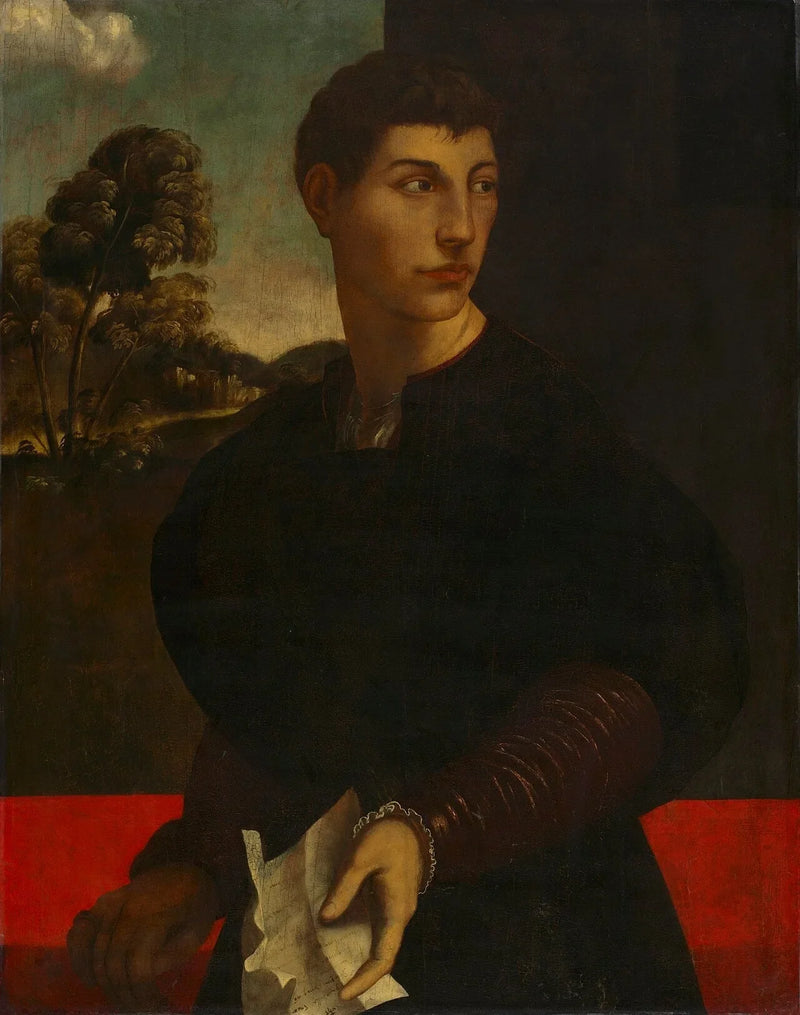 Portrait d'un jeune homme - Dosso Dossi