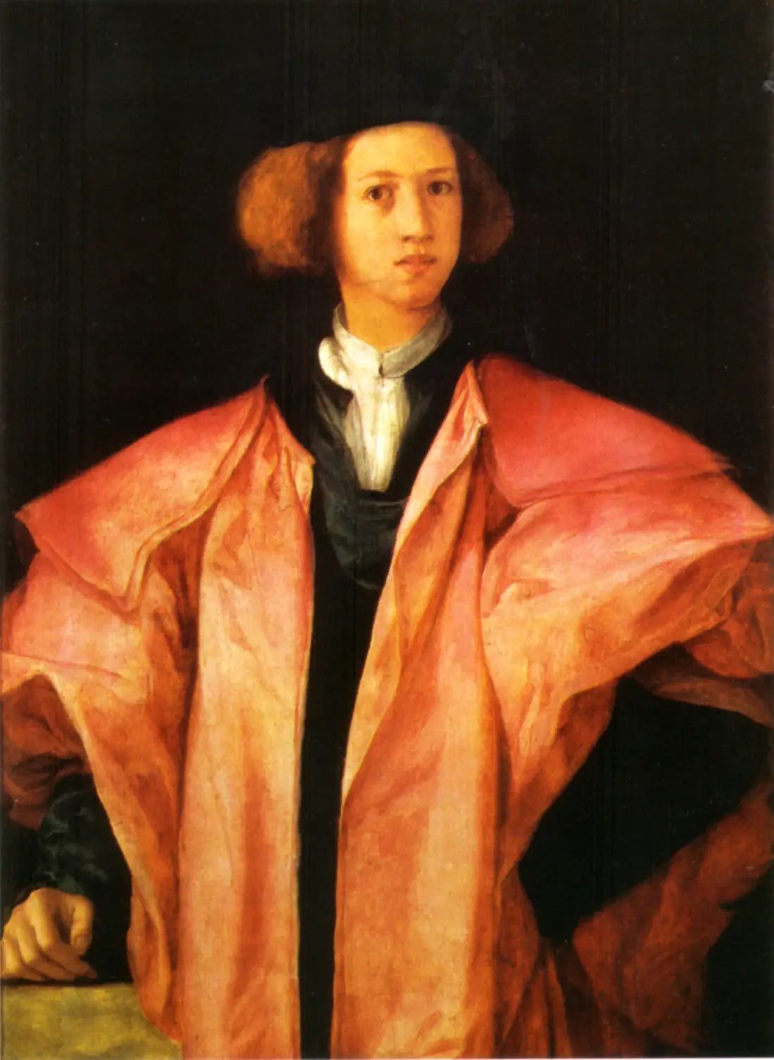 Portrait d'un jeune homme - Pontormo image 1 reproduction artisanale de tableau