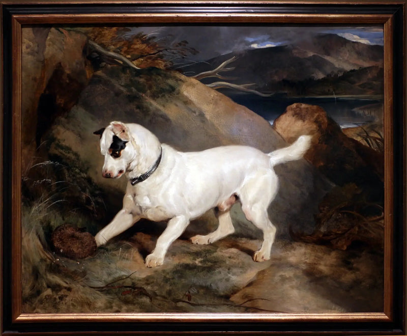 Portrait d'un terrier, propriété d'Owen Williams, ESQ., député (Jocko avec un hérisson) - Edwin Henry Landseer