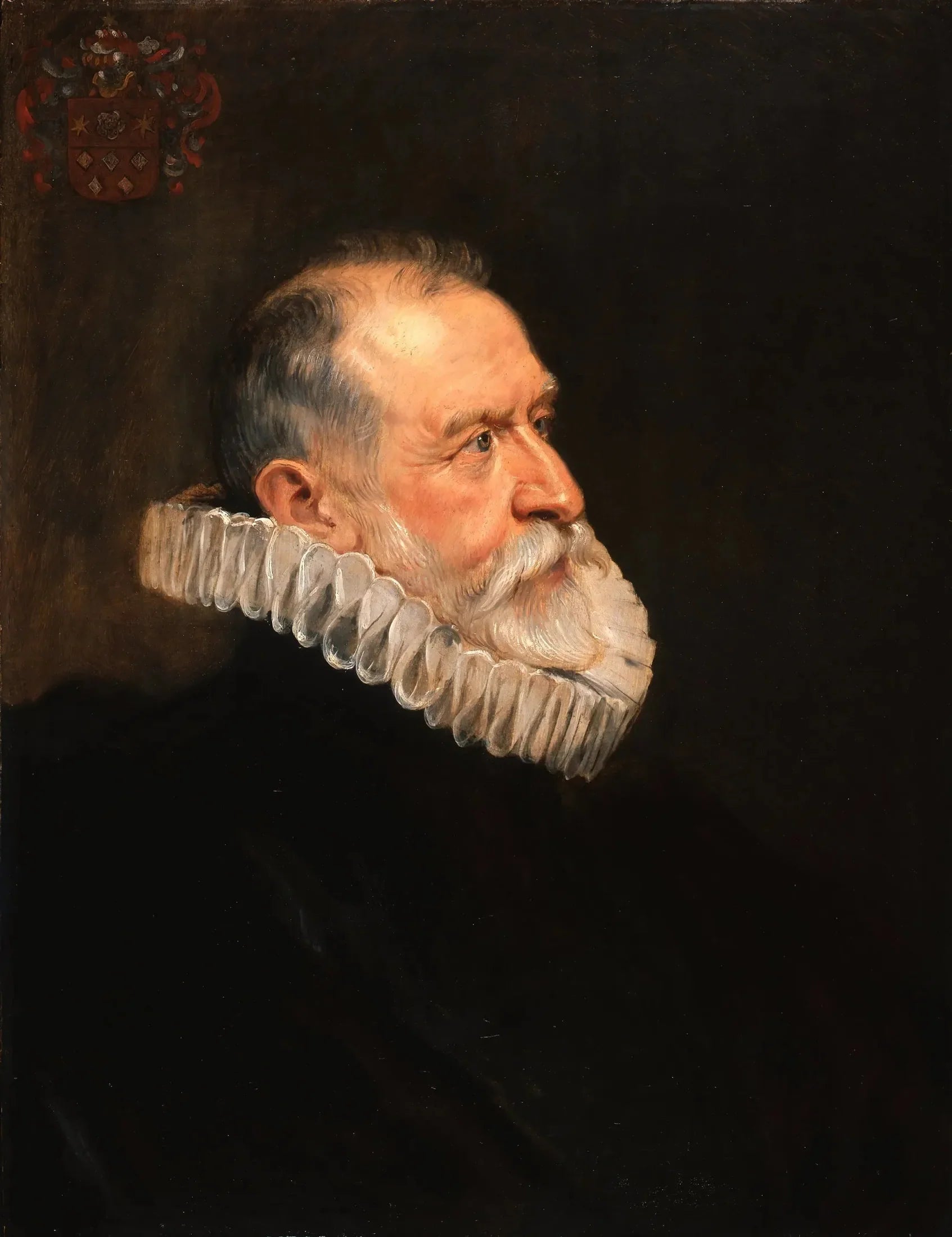 Portrait d'un vieil homme - Peter Paul Rubens image 1 tableau peint à l’huile sur toile
