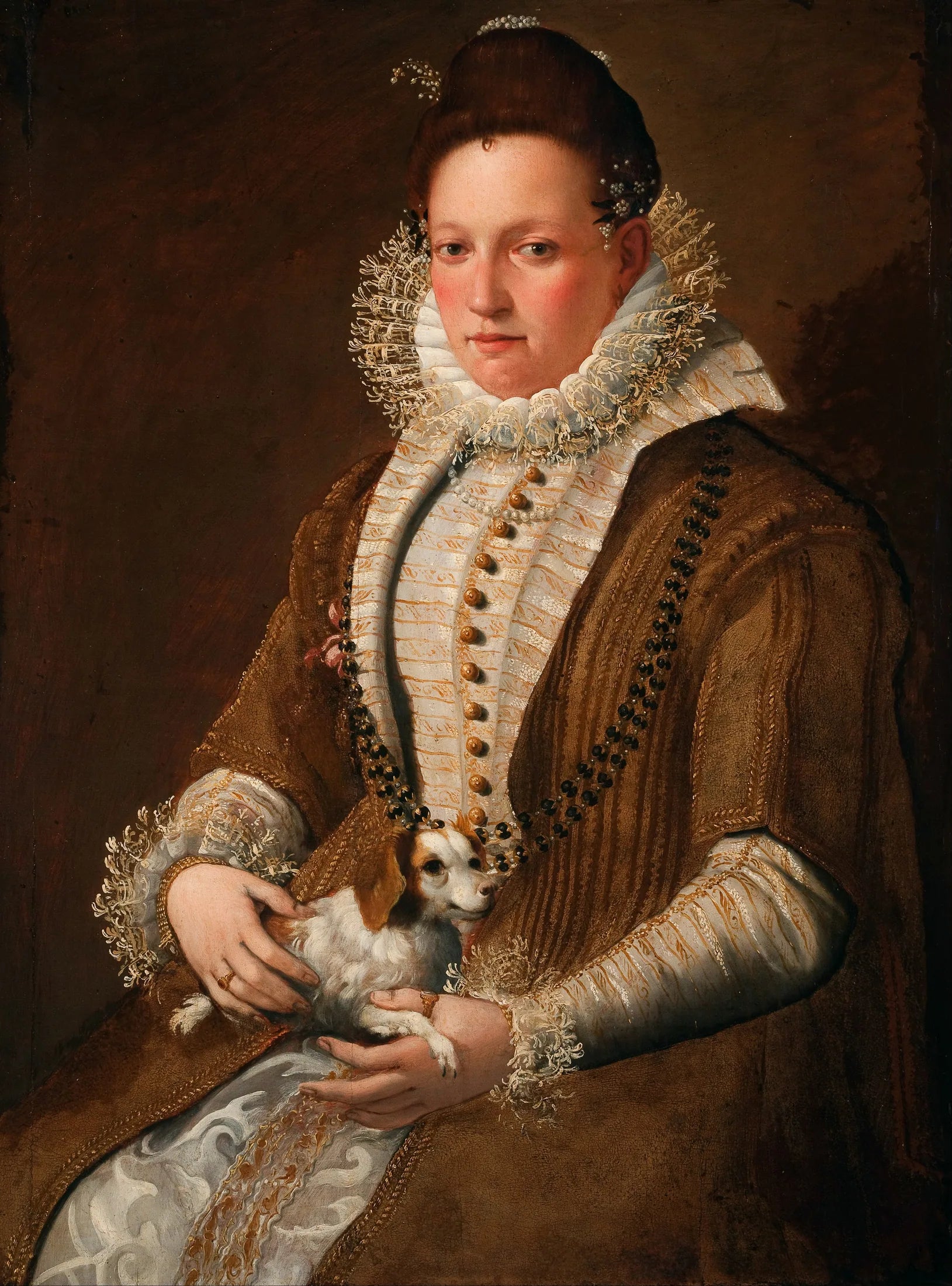 Portrait d'une dame avec un chien - Lavinia Fontana image 1 reproduction de peinture à l’huile