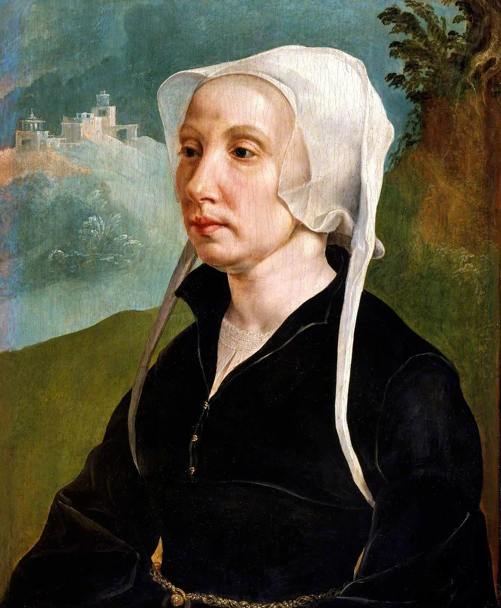 Portrait d'une femme - Maarten van Heemskerck image 1 tableau peint à l’huile sur toile