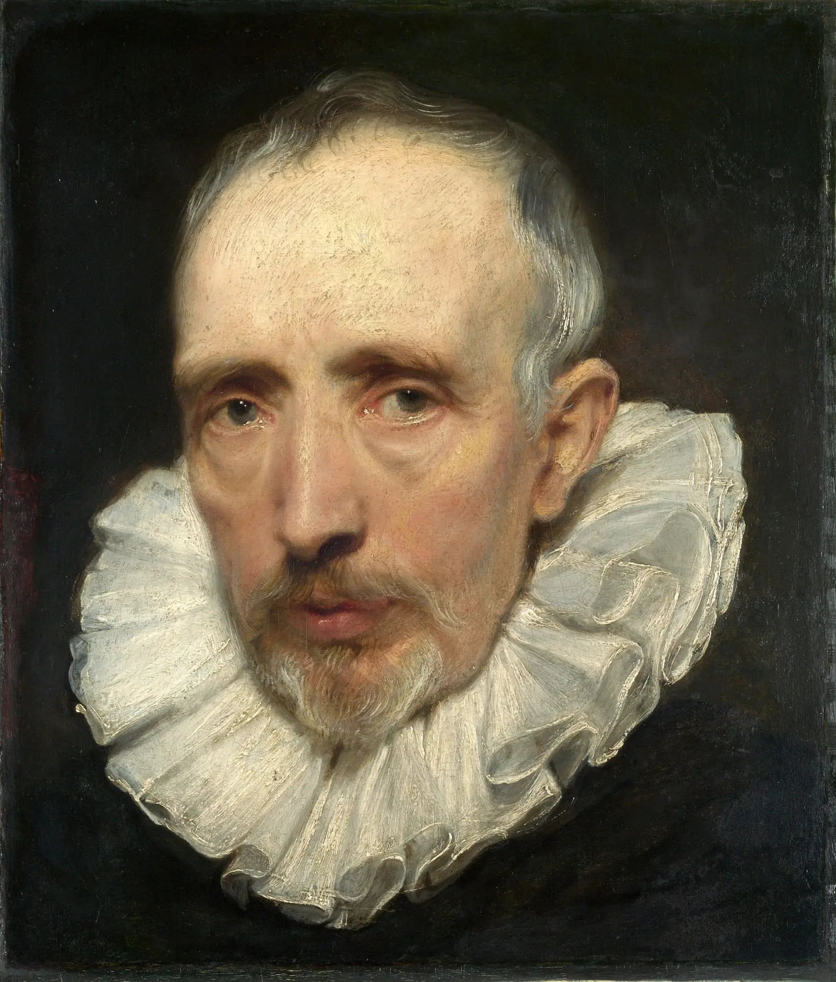 Portrait de Cornelis van der Geest - Antoine van Dyck image 1 reproduction d’œuvre d’art à l’huile