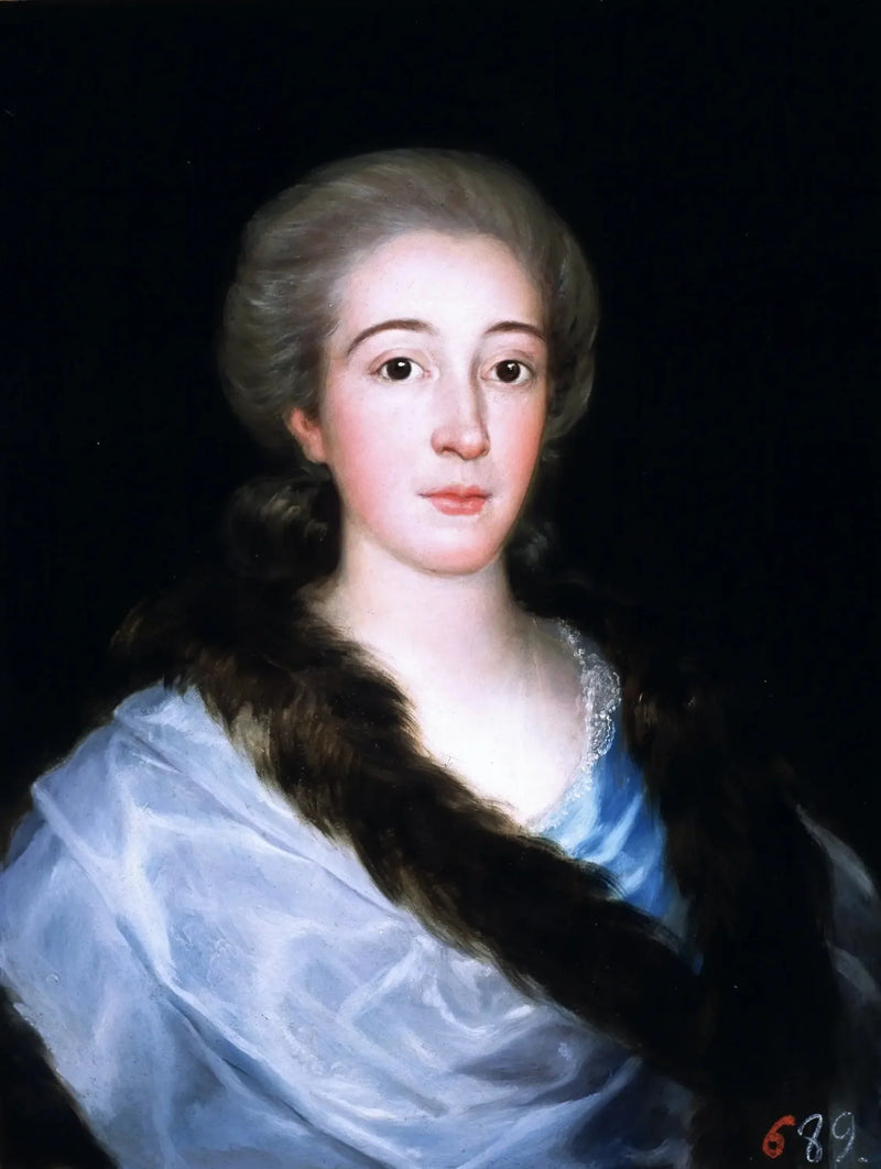 Portrait de Doña María Teresa de Vallabriga y Rozas (1759-1820) - Francisco de Goya