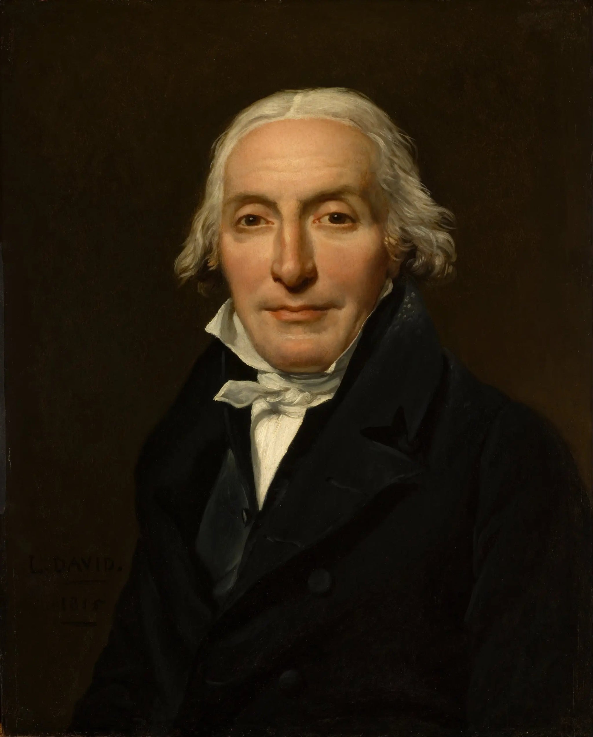 Portrait de Jean-Pierre Delahaye - Jacques-Louis David image 1 tableau peint à l’huile sur toile