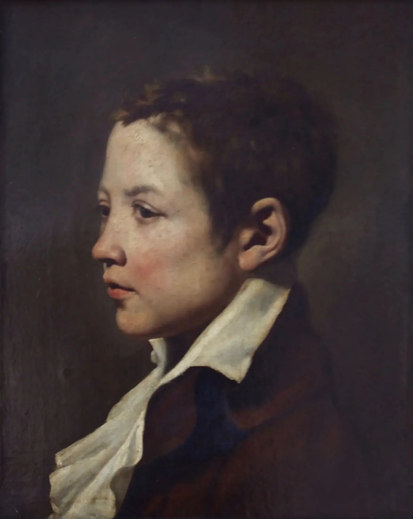 Portrait de jeune garçon - Jacques-Louis David image 1 tableau peint à l’huile sur toile