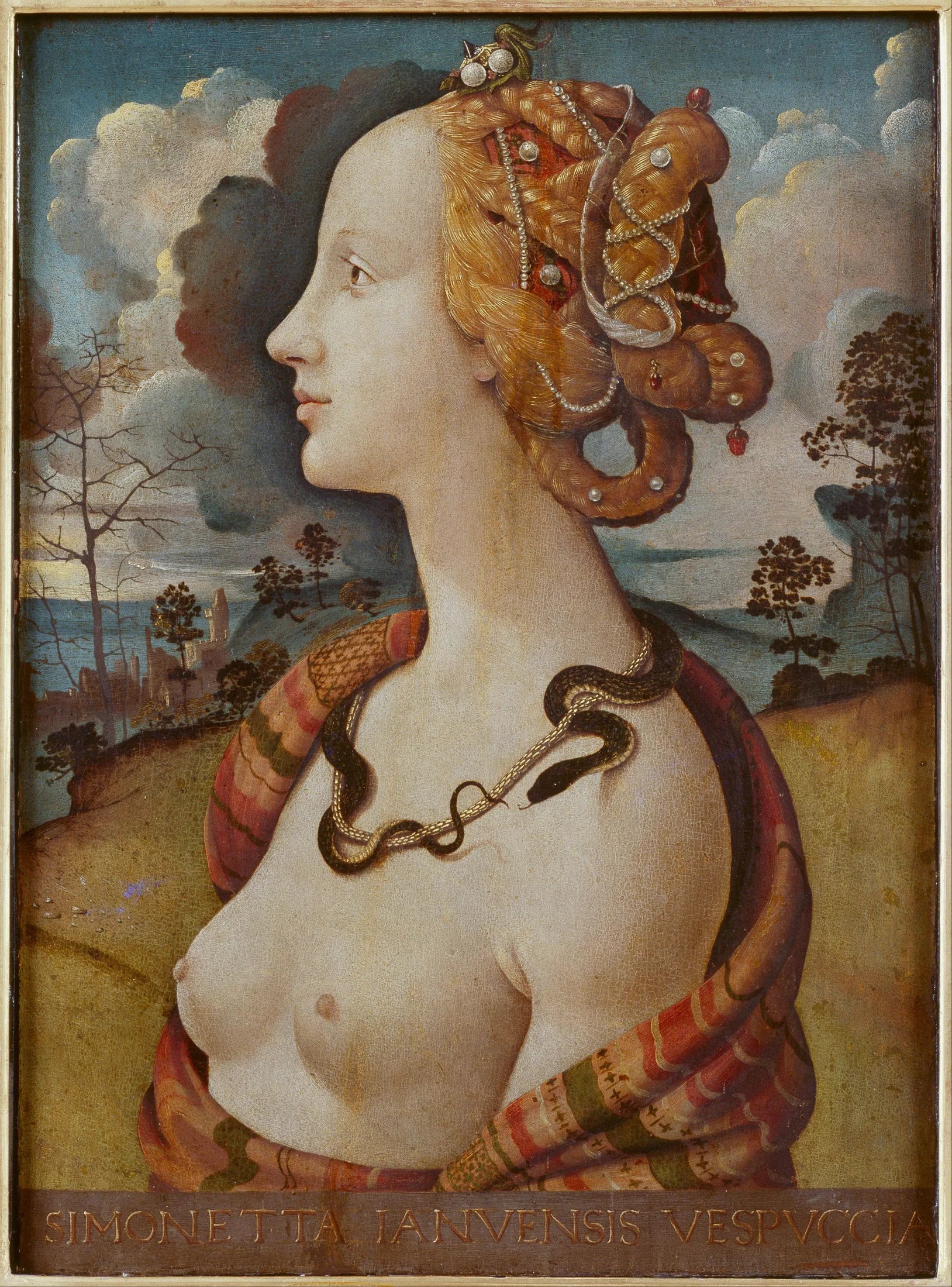 Portrait de Simonetta Vespucci - Piero di Cosimo image 1 copie de tableau peinte à la main