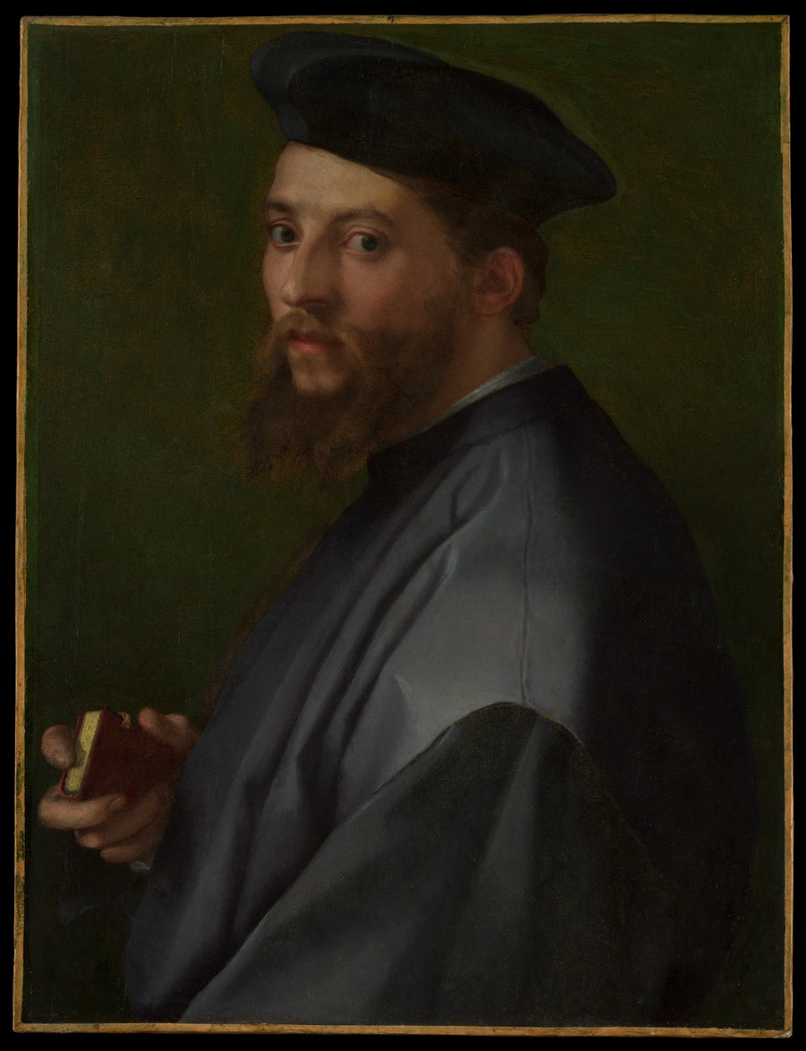 Portrait d'un homme - Andrea del Sarto (Andrea d'Agnolo)