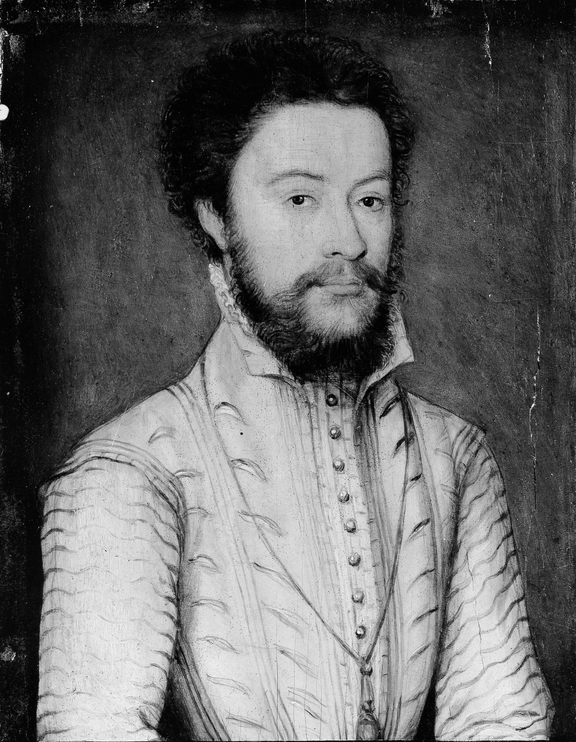 Portrait d'homme barbu en blanc - Corneille de Lyon