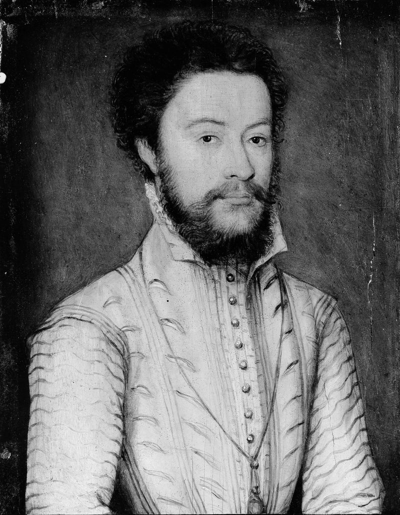Portrait d'homme barbu en blanc - Corneille de Lyon